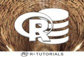 R Data Pre-Processing Data Management Shape your Data!
