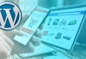 Advanced WordPress Course for Professionals