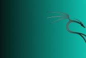 Ethical Hacking Basics (Kali 2021)