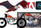 Professional Advertising Graphic Design [MascotLogo]