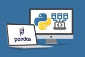 Python Programming Bundle- Intro to Python, Pandas, and OOP