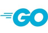 600+ Golang Interview Questions Practice Test