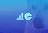 MySQL For Beginners- Real Database Experience Real Fast