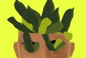 Basic of digital paint , motion graphic and make mix togethe