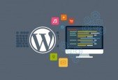 Building WordPress Plugins From Scratch