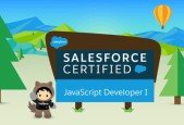 Salesforce JavaScript Developer I Certification Mock Test