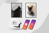Visual Design for Beginners using Canva Pro