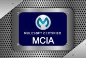MCIA- MuleSoft Certified Integration Architect Exam 2024