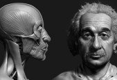 Zbrush Facial Anatomy and Likeness Character Sculpting