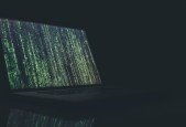 Web Security and Hacking for Beginners