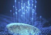 Cyber Security Basics
