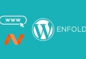 How to register a new domain and install WordPress themes-