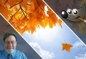 GIMP for Beginners- Free Book Covers with Free Images