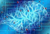 Curiosity Driven Deep Reinforcement Learning