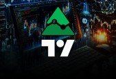 Tradingview PineScript V5 Indicator Strategy Library