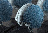 Machine Learning for Finance