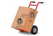 Learn How to Move a WordPress Website