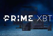 PrimeXBT App- Mastering Crypto, Forex Copy-Trading