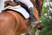 Supercharge Your Horse Riding Confidence