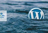 WordPress basic+ E-commerce in urdu+hindi 2023 for beginners