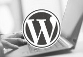 WordPress Guide Beginner To Professional From Scratch