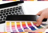 Become a Professional Graphic Designer