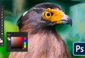 Introduction to Adobe Photoshop CC from 0 to intermediate