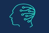 Computer Vision Object Detection on Videos Deep Learning