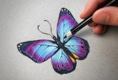 The Colored Pencil Drawing Course Beginner to Advanced