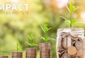 Nonprofits Financial Innovation Impact Investing COVID-19