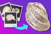 Photogrammetry - Turn Images into 3D Models