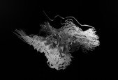 Code Art- Learn Creative Coding to Generate Visuals with JS