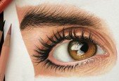 The Complete Drawing Course- Colored Pencil Drawing Art
