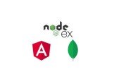 Node, Express JS, Angular 12 Mongo DB web app development