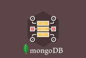 MongoDB Essentials Understand the Basics of MongoDB