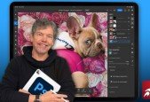 Beginner to Expert- Photoshop on the iPad