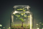 Reaching A Critical Mass Of Users In An Online Community