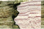 Geophysics for Non Geophysicist