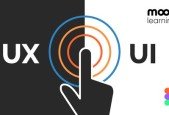 UXUI Design Principles Compact (Theory + Figma Exercise)