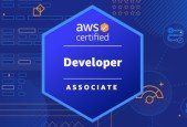 ACE AWS Certified Developer Associate- NEW DVA-C02 2024