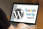 SEO for WordPress- How to Rank Higher Drive More Traffic