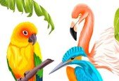 Procreate Illustrate Tropical Birds
