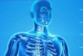 Fully Accredited Foundation Level Kinesiology Course
