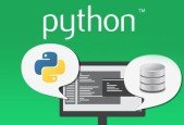 Database Programming with Python