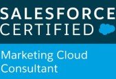 Salesforce Marketing Cloud Consultant Practice Tests 2024