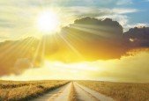 The Contemplative Christian