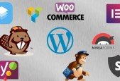 The Complete Guide to the Best 200 WordPress Plugins