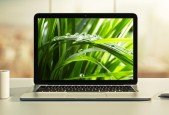 [NEW] Spring Boot 3, Spring 6 Hibernate for Beginners