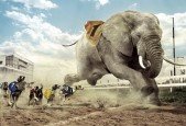 Software Development Leader Guide