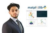 Data Visualization in Python for Beginners